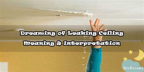 ceiling leaking dream meaning|Meaning of Leaking Ceiling Dreams: Vulnerability,。